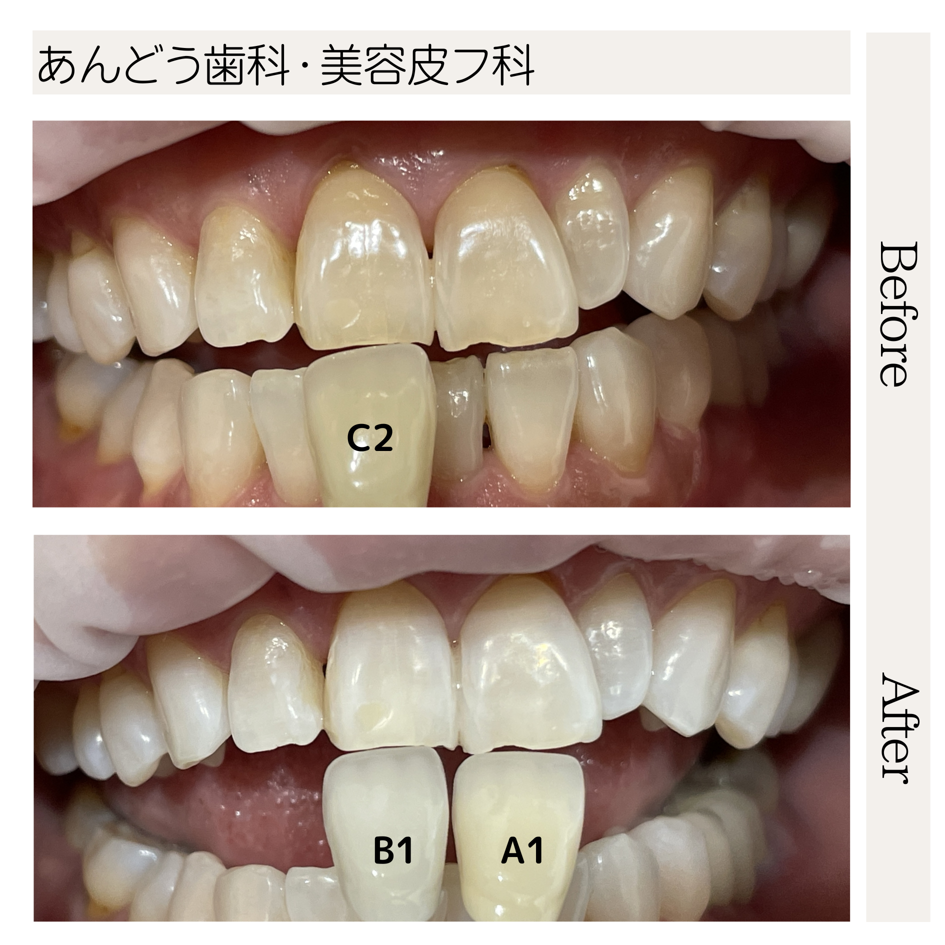 活動歴および当時の関連ビジュアル記録